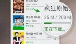 南昌黑虎爆料视频大全集,揭秘事件真相与幕后黑幕