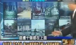 香港网民爆料四太子视频,四太子视频引发网络热议